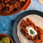 A dish of Mexican Mole with a tortilla